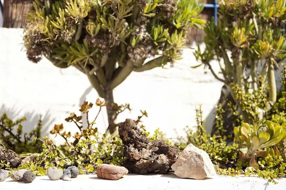 Holidays In Tarajalejo - Home Office With Sea View